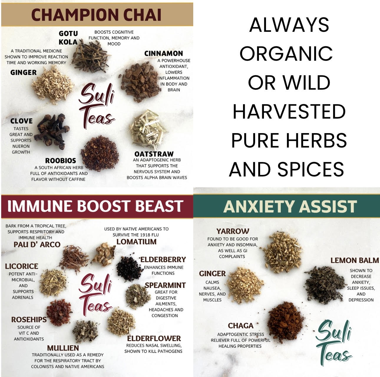 Tea Sampler