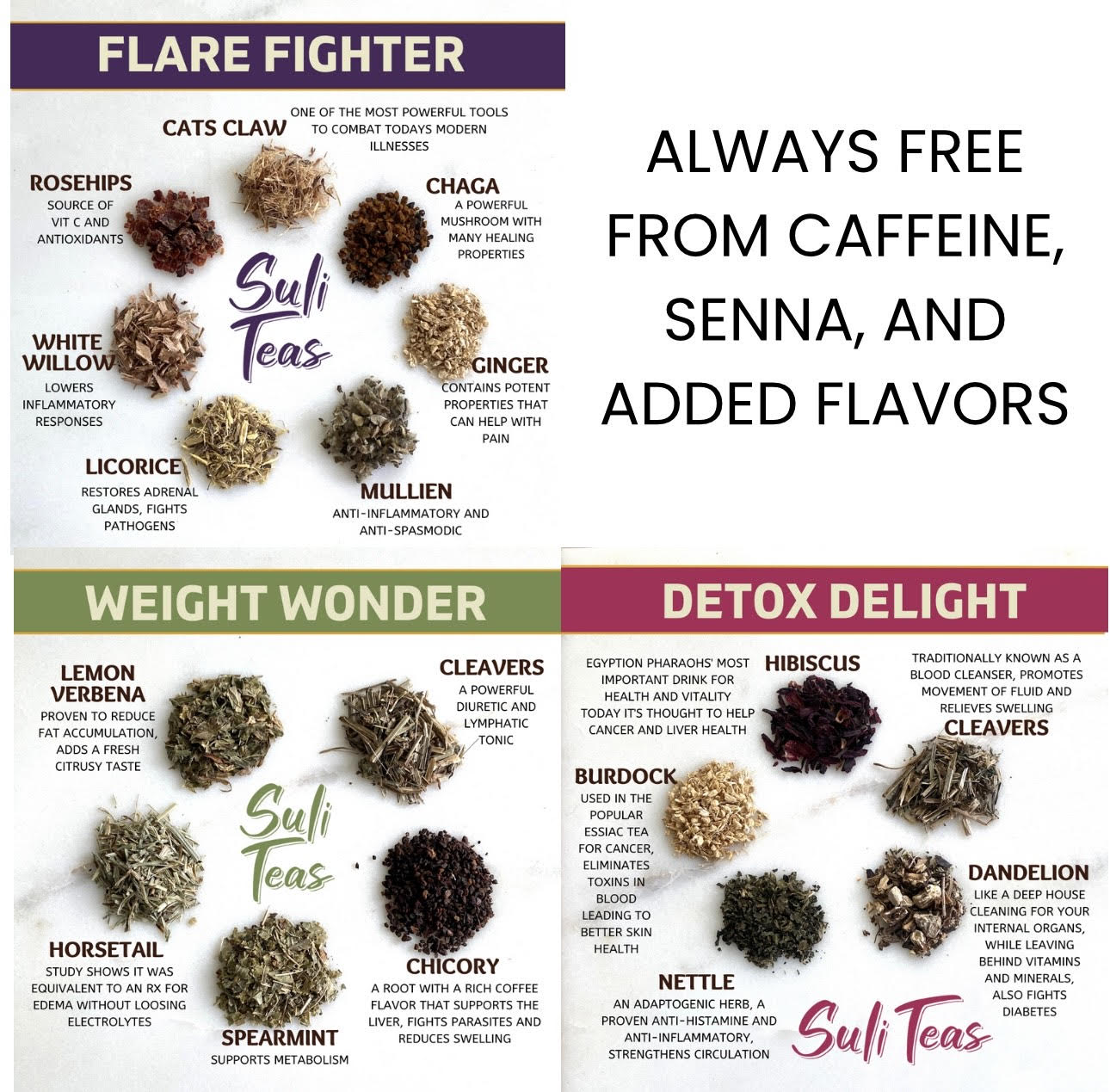 Tea Sampler